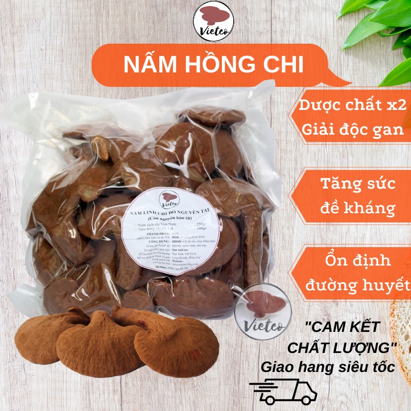 Nấm Linh Chi Nguyên bào tử nhà trồng hồng chi NẤM LINH CHI ĐỎ VIETCO