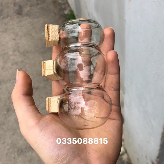 Cóng thuỷ tinh cho mào, choè