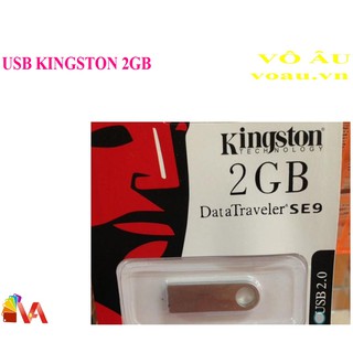USB KINGSTON 2GB