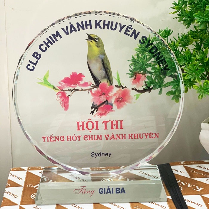 [Giá bán chưa bao gồm công in ấn] Cúp pha lê đĩa mặt trời | Kỷ niệm chương - quà tặng lưu niệm sang trọng - ý nghĩa