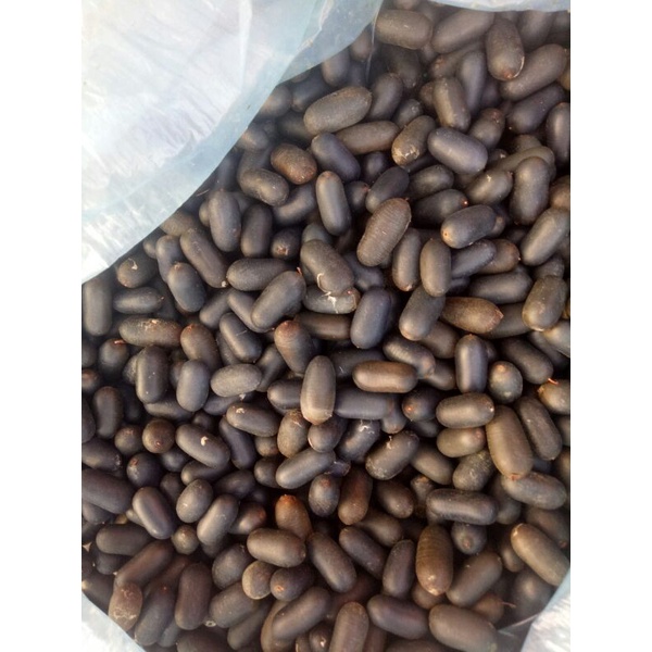 Hạt đỗ rừng  220k/kg