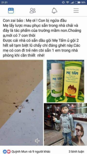 Dầu gội trị chí MẸ TẤM