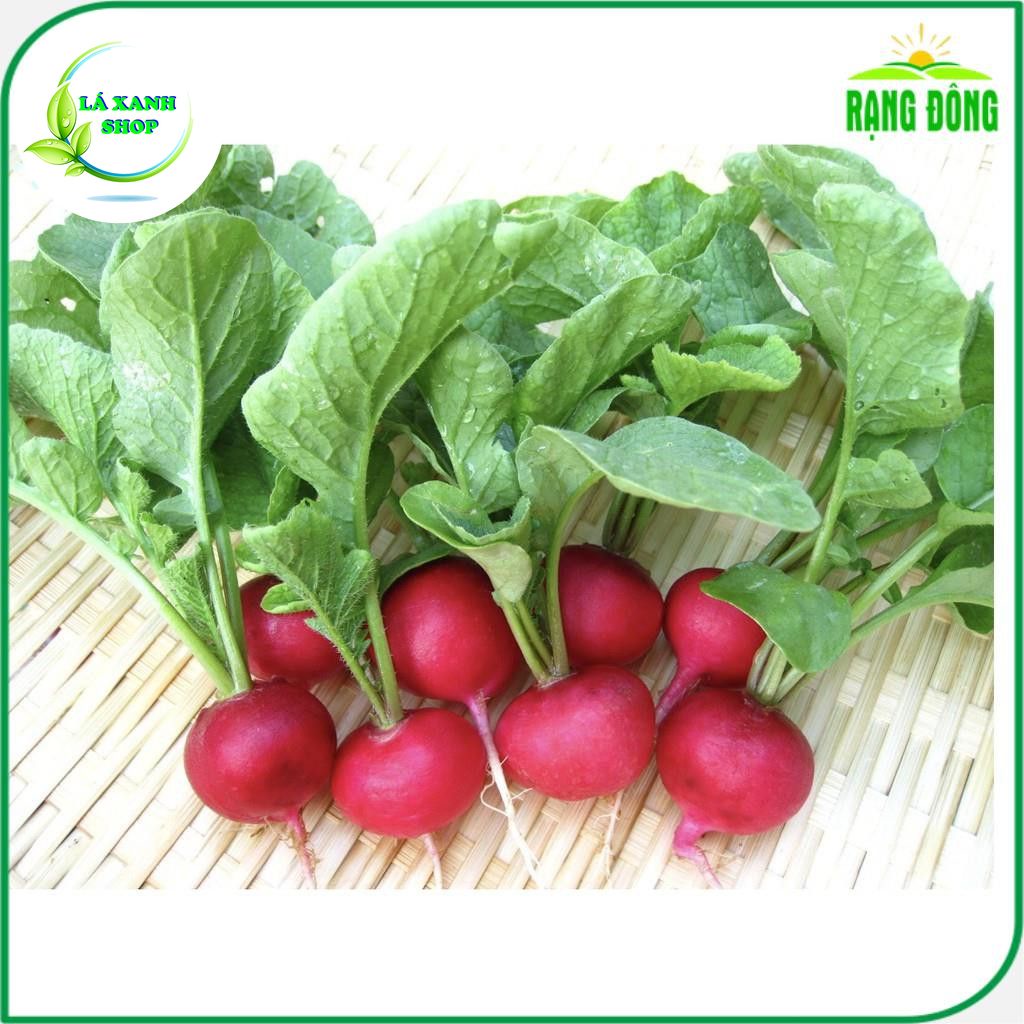 Hạt giống Củ Cải Đỏ Baby Dễ Trồng, Sinh Trưởng Khỏe (gói 2 gram) - Hạt Giống Rạng Đông