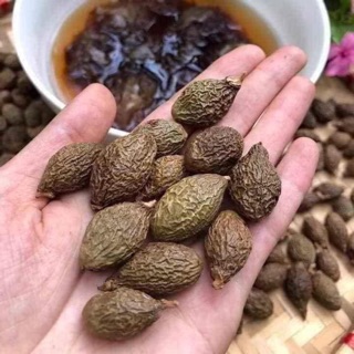 1kg HẠT ƯƠI BAY CHUẨN RỪNG TÂY NGUYÊN