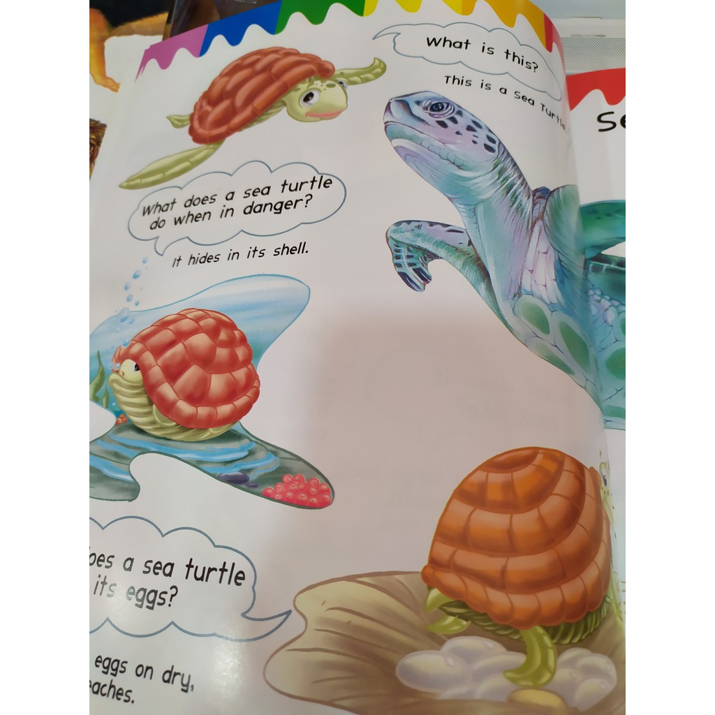 Sách - My First Questions &amp; Answers - Ocean - 8935072923211
