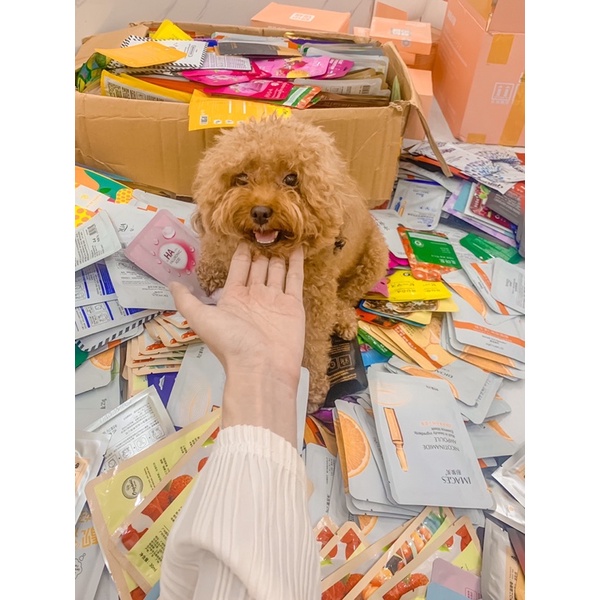 ️‍ Mặt Nạ Cao Cấp Nội Địa Trung Mix Nhiều Hãng Lớn ‼️