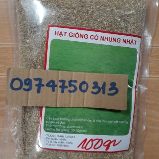 100GR HẠT GIỐNG CỎ NHUNG NHẬT