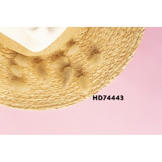 Phông nền 3D chụp ảnh