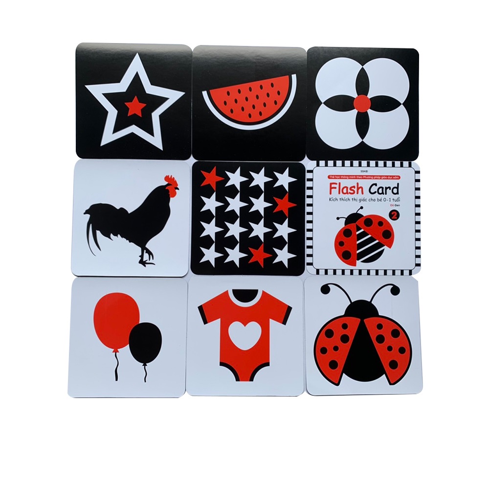 Thẻ Flash card kích thích thị giác cho bé từ 0-1 tuổi theo phương pháp giáo dục sớm