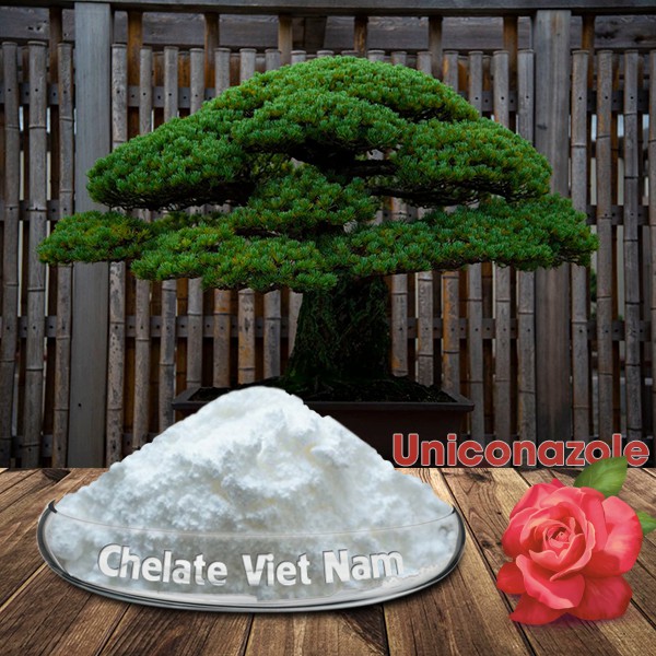 Uniconazole 5WP  gói 100g