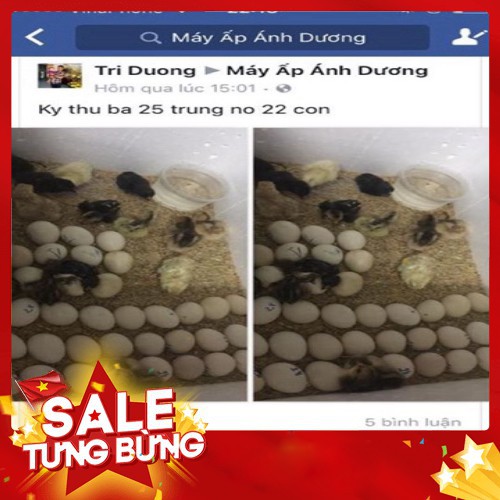Máy Ấp Trứng Ánh Dương + Đèn Pin soi trứng chuyên dụng