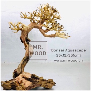 LŨA BONSAI CHO HỒ THUỶ SINH CAO 35 DÀI 25