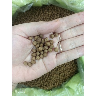 Cám cá koi  40 % đạm hạt 6-7 ly
