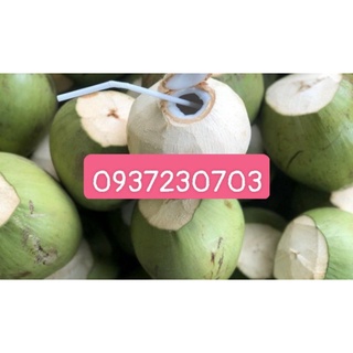 dùa xiêm trà vinh