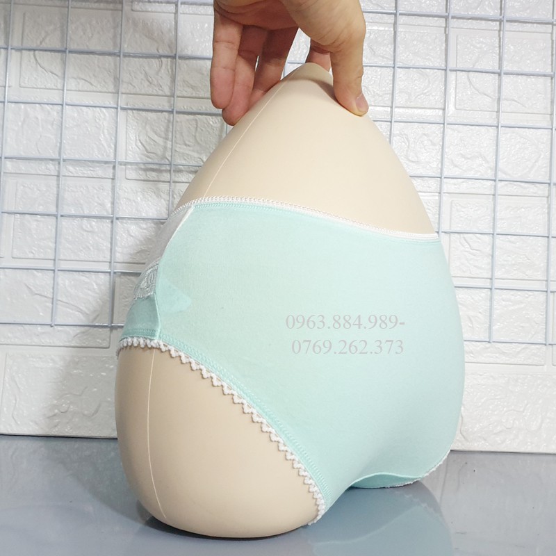 Quần lót nữ QN.02 chất cotton phối zen màu đẹp xinh cho chị em- Ảnh shop chụp