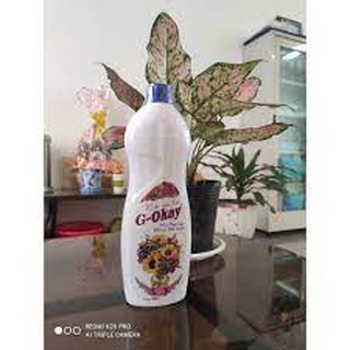 Nước cắm hoa G-okay - giúp hoa luôn tươi lâu