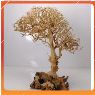 [Siêu Rẻ] Lũa Cây Tự Nhiên Trang Trí Bể Cá [TS Online37]