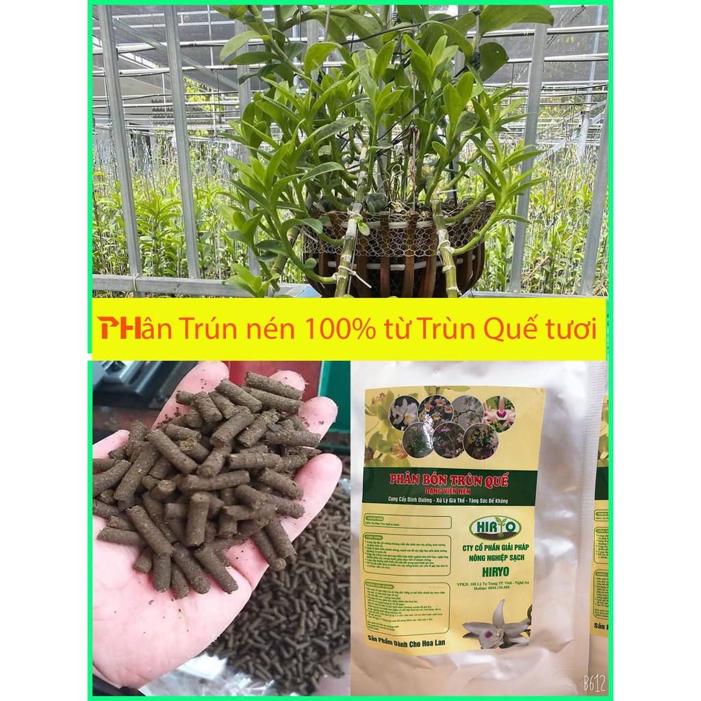 Phân trùn nén, phân trùn quế dạng viên nén dành cho hoa lan, hoa hồng...