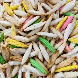 😍BÁNH SÙNG SỮA😍