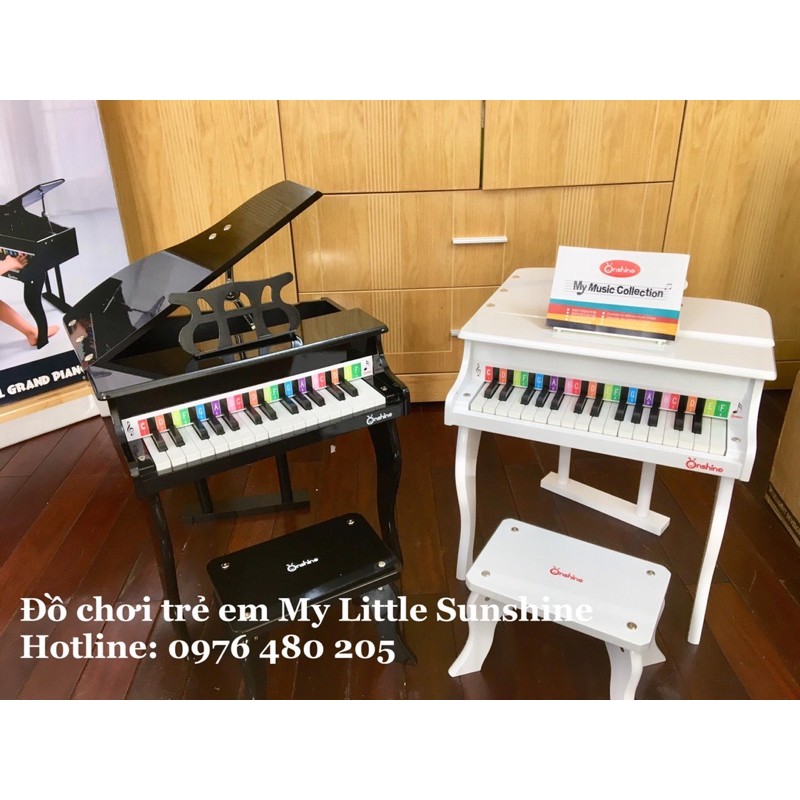 Đàn piano gỗ cao cấp cho Bé