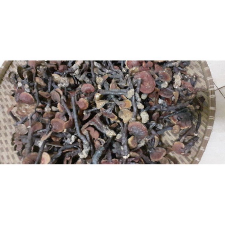 Nấm lim xanh rừng tự nhiên hỗ trợ ung thư, tiêu đường, điều hòa huyết áp, tăng cường sức khỏe 1kg | BigBuy360 - bigbuy360.vn