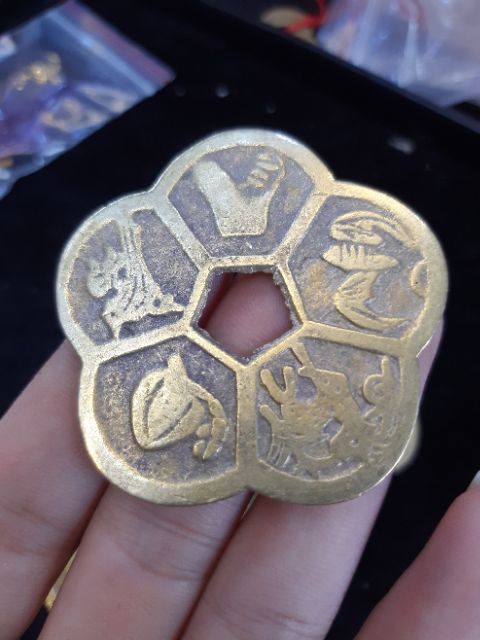 Tiền hoa mai đồng vàng xịn | BigBuy360 - bigbuy360.vn