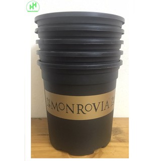5 Chậu MONROVIA CH Garden 1.5Gal