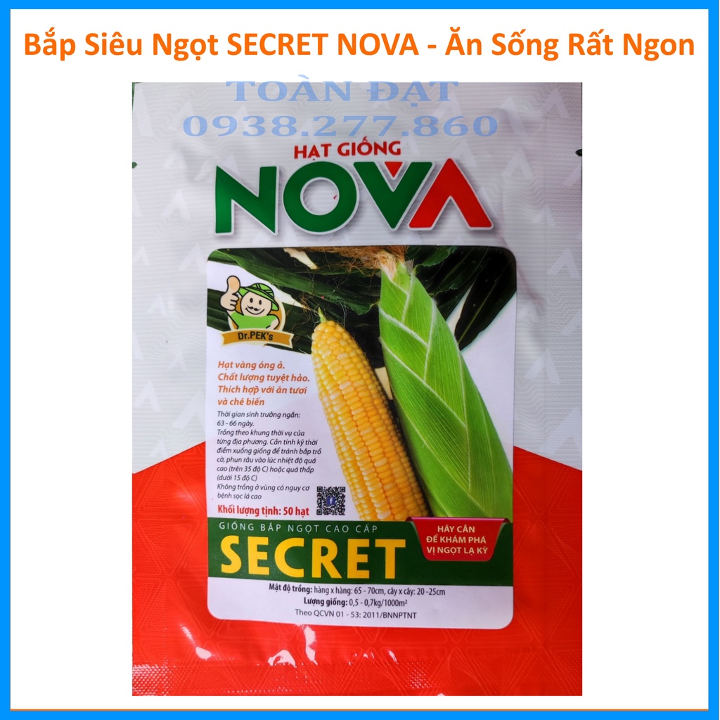 Hạt Giống Bắp Ngọt SECREET Nova , Ăn sống rất ngon, Giống Bắp Ngọt Miền nam 20g