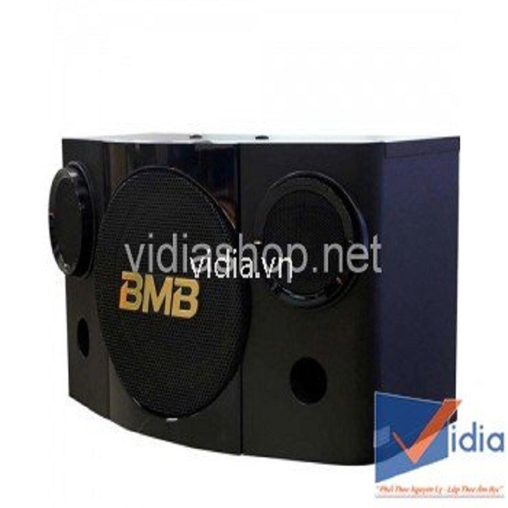 Loa Karaoke Cao Cấp BMB CSE 308 SE