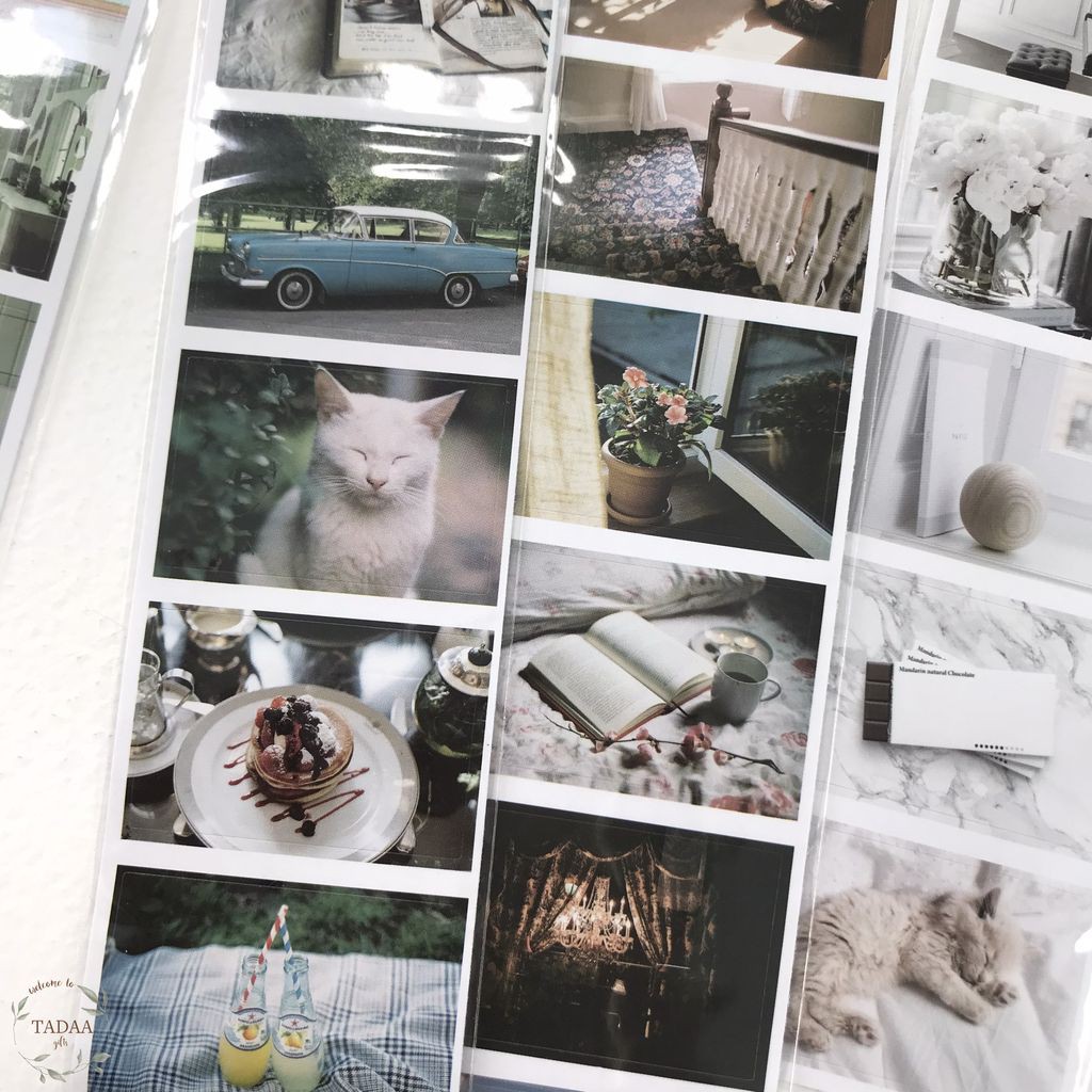 Sticker vintage dán trang trí sổ tay, bullet journal chủ đề phim, hoa lá và phong cảnh retro (vàng, trắng, đỏ)