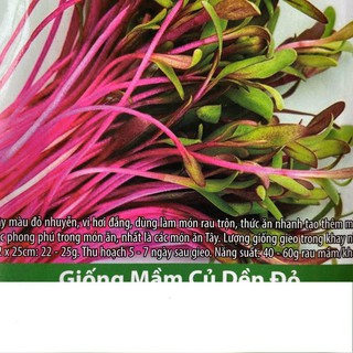 Hạt giống mầm củ dền đỏ 10gr