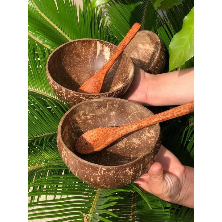 [Combo] - Chén / Bát gáo dừa + Muỗng gỗ dừa chuẩn Bến Tre