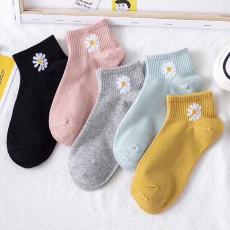 Set 10 đôi tất hoa cúc dễ thương