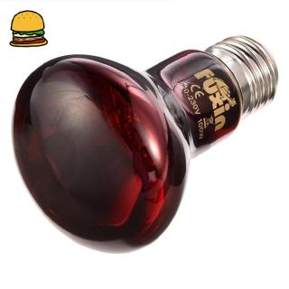 Đèn LED sưởi ấm chuyên dùng cho bò sát