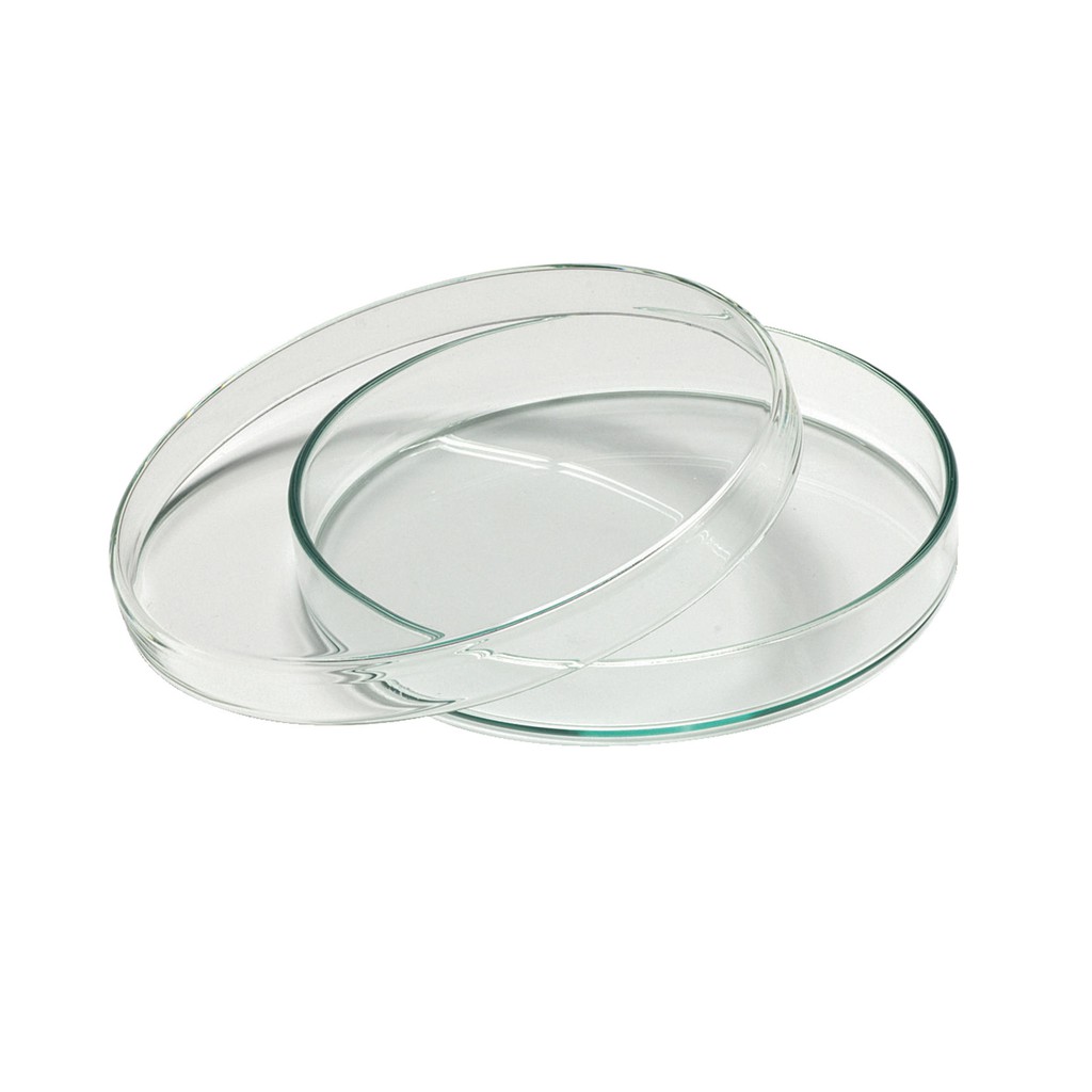 18 Đĩa petri thủy tinh 90x15 mm tiêu chuẩn DIN-Đức | PETRI DISHES - glass