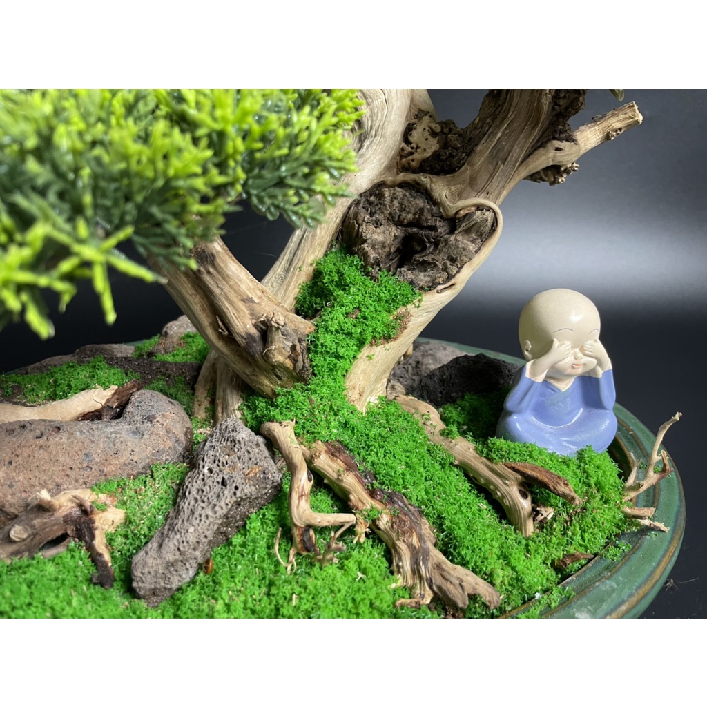 Lũa Bonsai, Lũa thủy sinh dùng trang trí hồ cá cảnh, hồ thủy sinh, văn phòng, nhà cửa