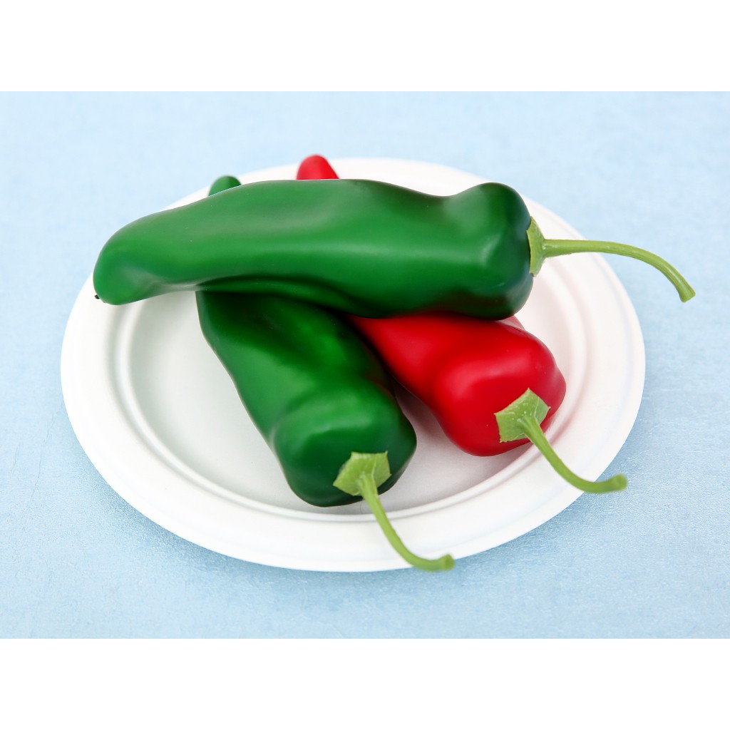 10 Đĩa Tròn Bã Mía 18cm