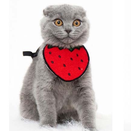 Vòng cổ cho chó mèo - yếm đeo cổ CUTE