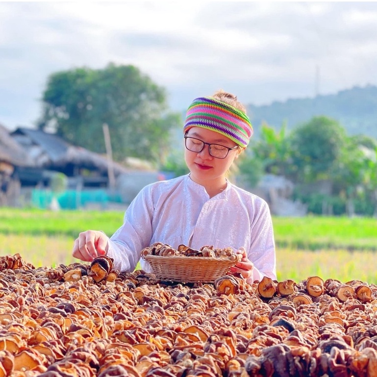 Nấm Hương Khô Rừng Thiên Nhiên Rừng Tây Bắc - Ẩm Thực Hà Giang, Đặc Sản Tây Bắc | BigBuy360 - bigbuy360.vn