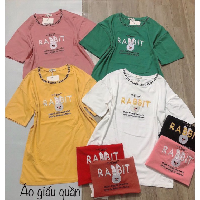 Áo thun form rộng hàng quảng châu cao cấp emi