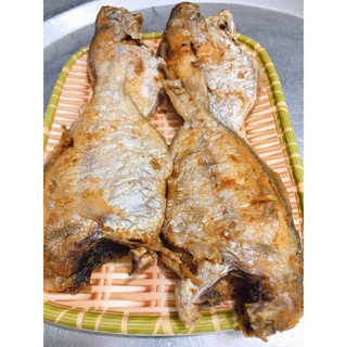 Cá Đội Đèn 1 Nắng