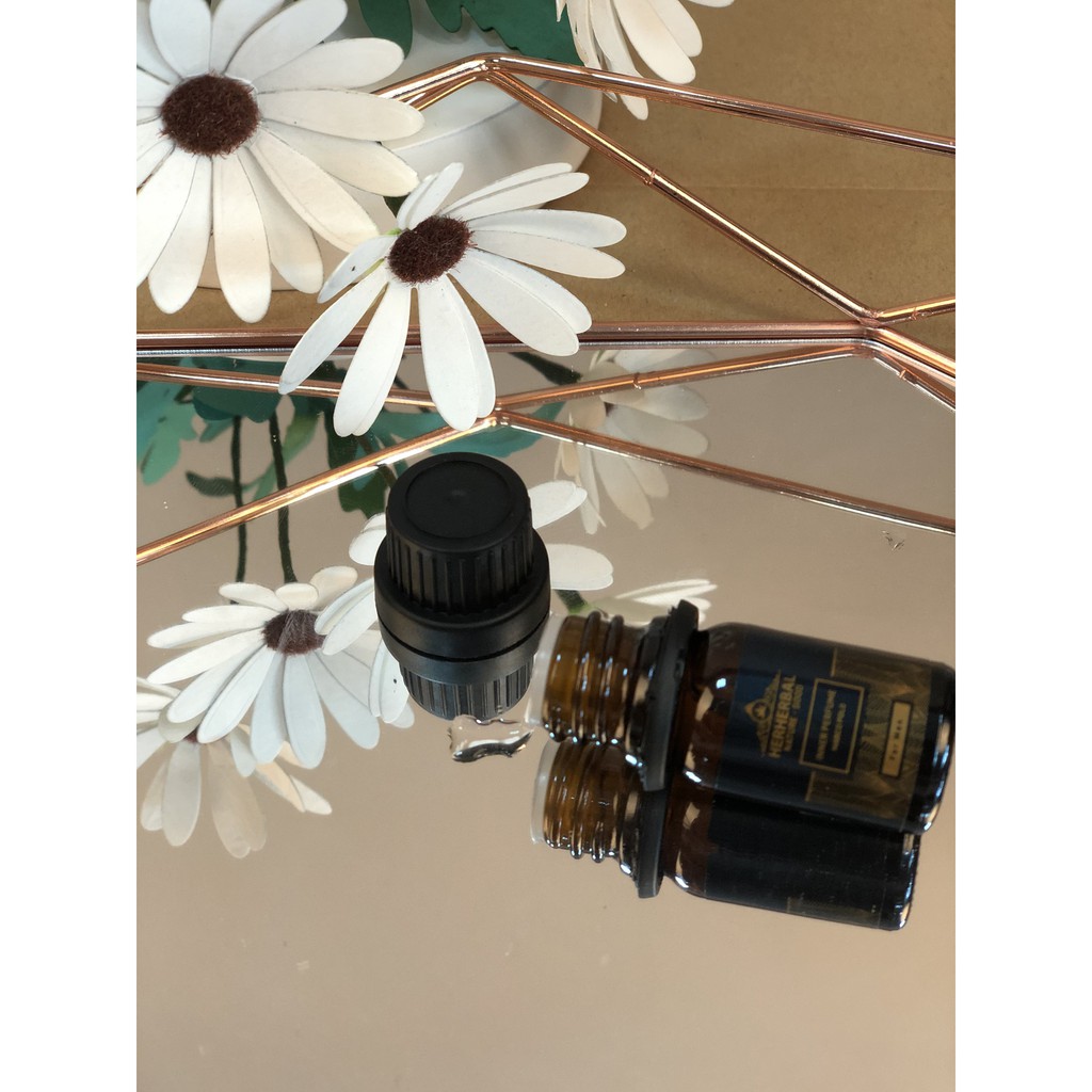 Nước hoa vùng kín nam giới Herherbal 5ml Inner Perfume Polo lưu hương lâu nam tính nhỏ gọn tiện lợi | BigBuy360 - bigbuy360.vn