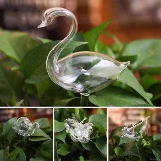 Dụng cụ tưới nước tự động cho cây cảnh