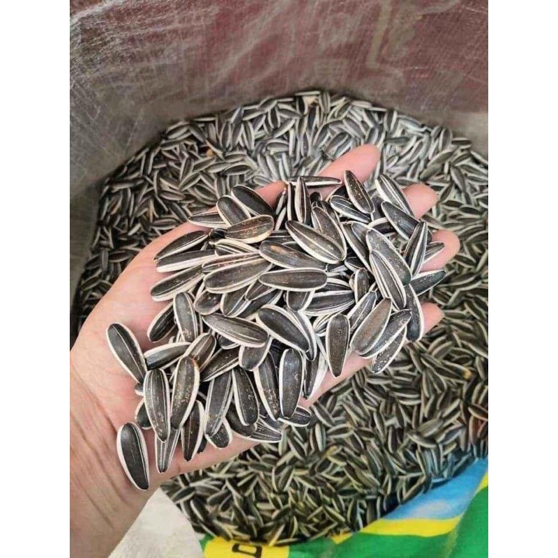 1kg Hạt Hướng Dương Sạch Sấy Chín Ăn Liền Loại Ngon