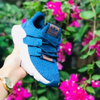 Giày thể thao prophere full box