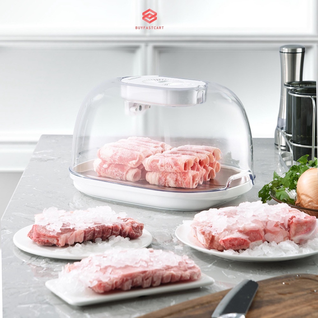 Máy rã đông thực phẩm lạnh Kayuso JY210801 giữ tươi bằng công nghệ ion âm - Hàng chính hãng