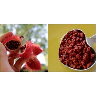 1Kg Hạt điều màu ( Hạt Cà ri )