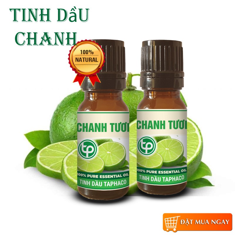 Tinh Dầu Tràm Trà Đuỗi Muỗi - TaPha 10ml