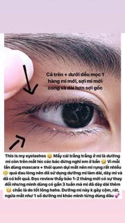 Dưỡng mi Eveline 8in1 của Nga