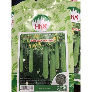 Hạt giống Bầu sao trái dài ☘️